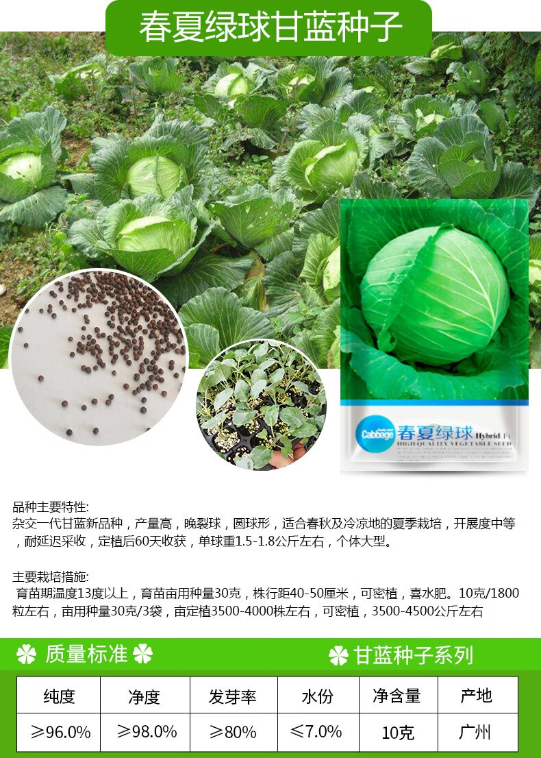 凤鸣雅世 蔬菜种子甘蓝种子卷心菜种子包心菜包菜种籽大头菜籽早熟