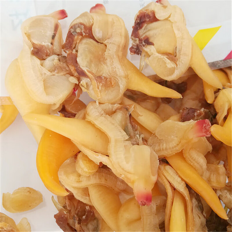 源外园 新晒蛤蜊干 黄蚬子干 蛤蜊肉干 无沙淡晒海鲜干货 500g【图片