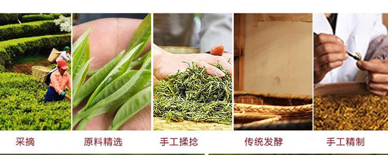 黄金芽属于什么茶的功效