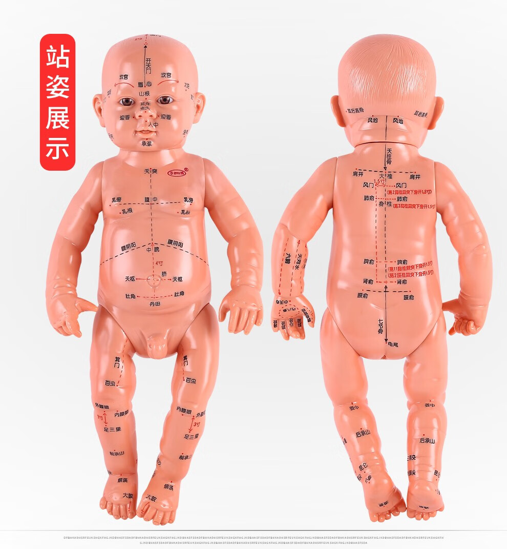 子彧 小儿推拿模型宝宝穴位模型儿童人体模型穴位图月嫂培训教学中医