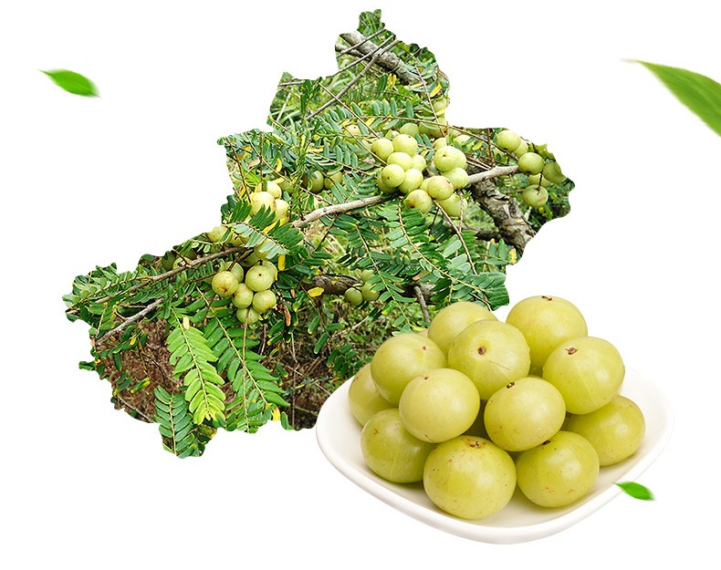 新鲜油甘果 牛甘子 余甘果 油柑油干果 滇橄榄果