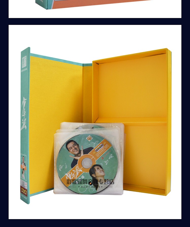 正版少年派dvd都市青春励志高清电视连续剧dvd碟片光盘张嘉译闫妮