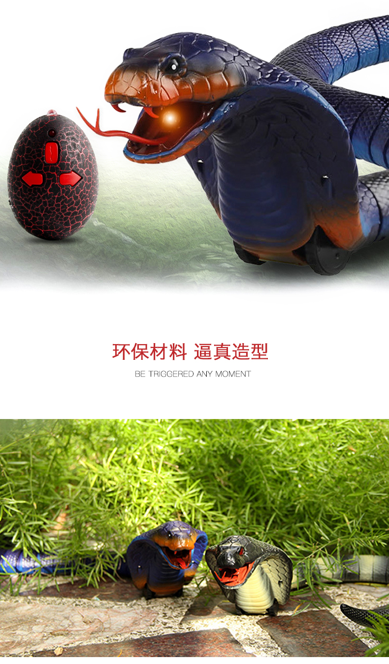 玩控电动遥控仿真蛇玩具动物模型整人整蛊道具 遥控蝎子