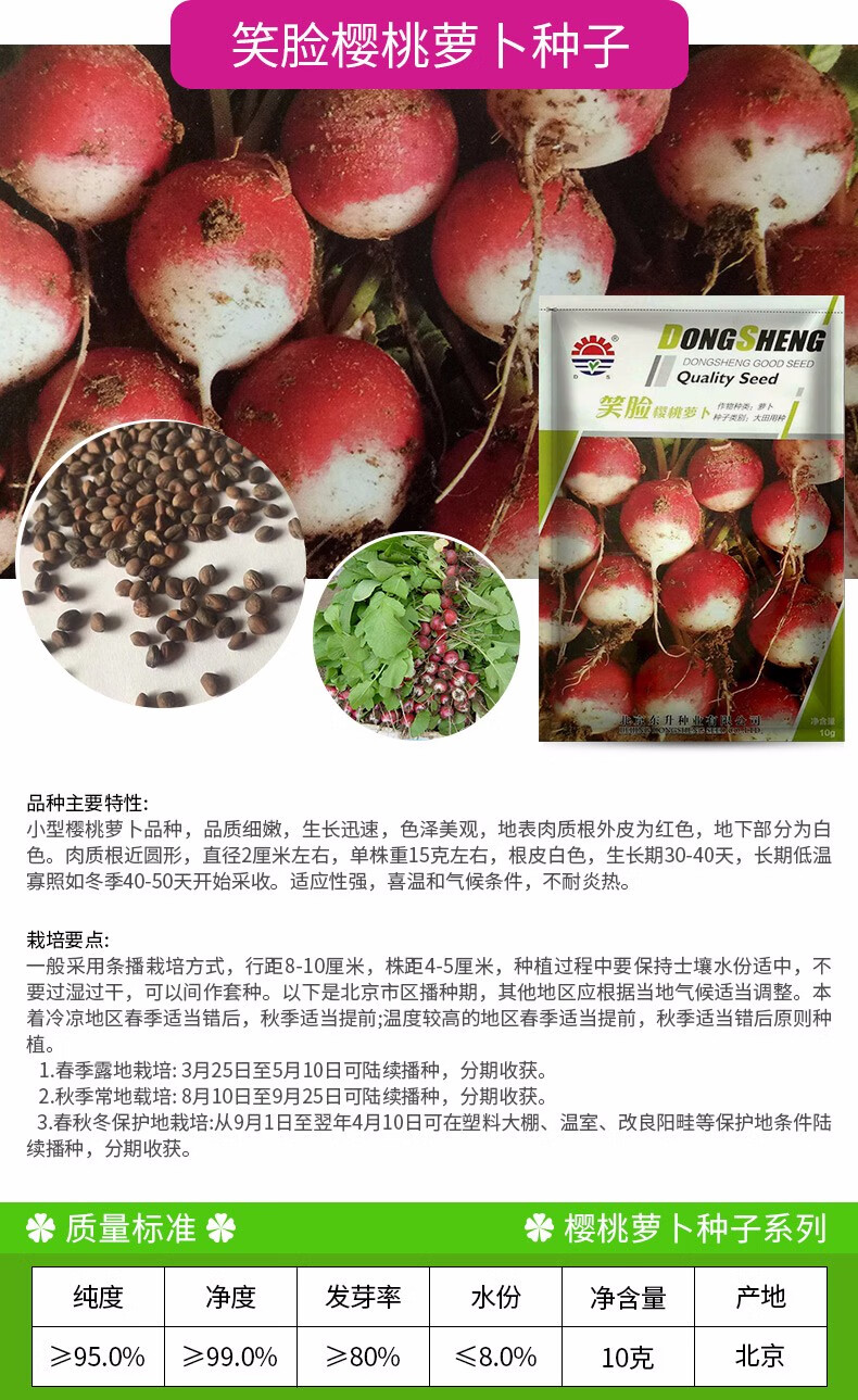 凤鸣雅世 樱桃萝卜种子小红水果春季秋四季播蔬菜种孑 阳盆栽蔬菜种籽