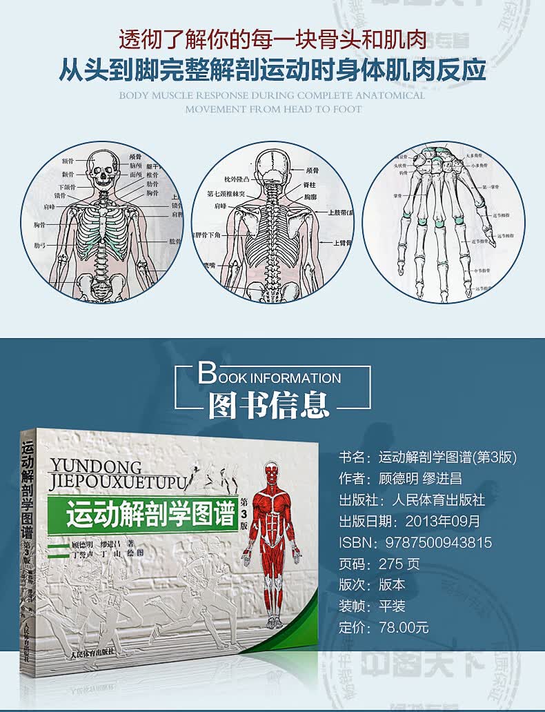 运动解剖学图谱第3版人体解剖学教程肌肉塑造体育理论与教学正版书籍