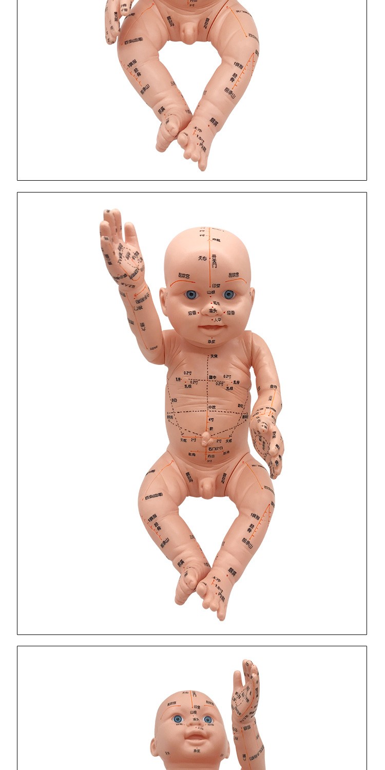 手脚可转动全身穴位模型 送儿童推拿图 大眼睛小儿模型 经络图【图片