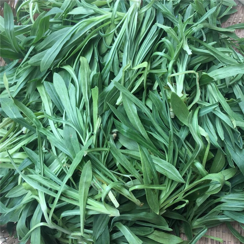 轻恋面条菜 新鲜野菜 柳叶菜 3斤 面条棵 农家野生现挖蔬菜 son【图片