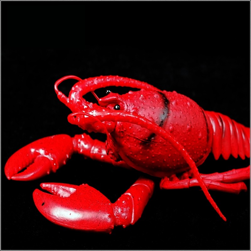 大号bb哨软胶仿真龙虾螃蟹模型玩具塑胶静态海洋动物儿童认知礼物