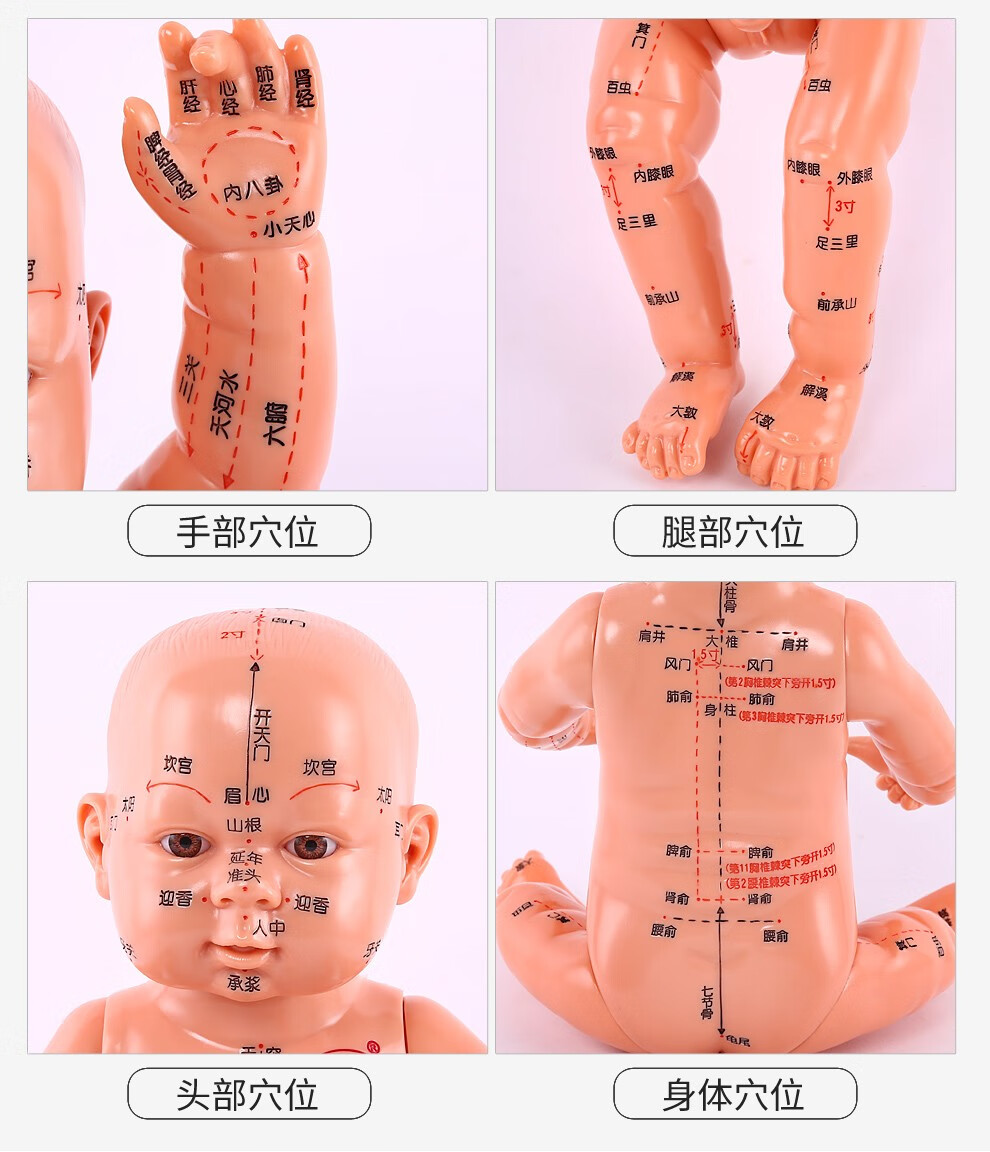 子彧 小儿推拿模型宝宝穴位模型儿童人体模型穴位图月嫂培训教学中医