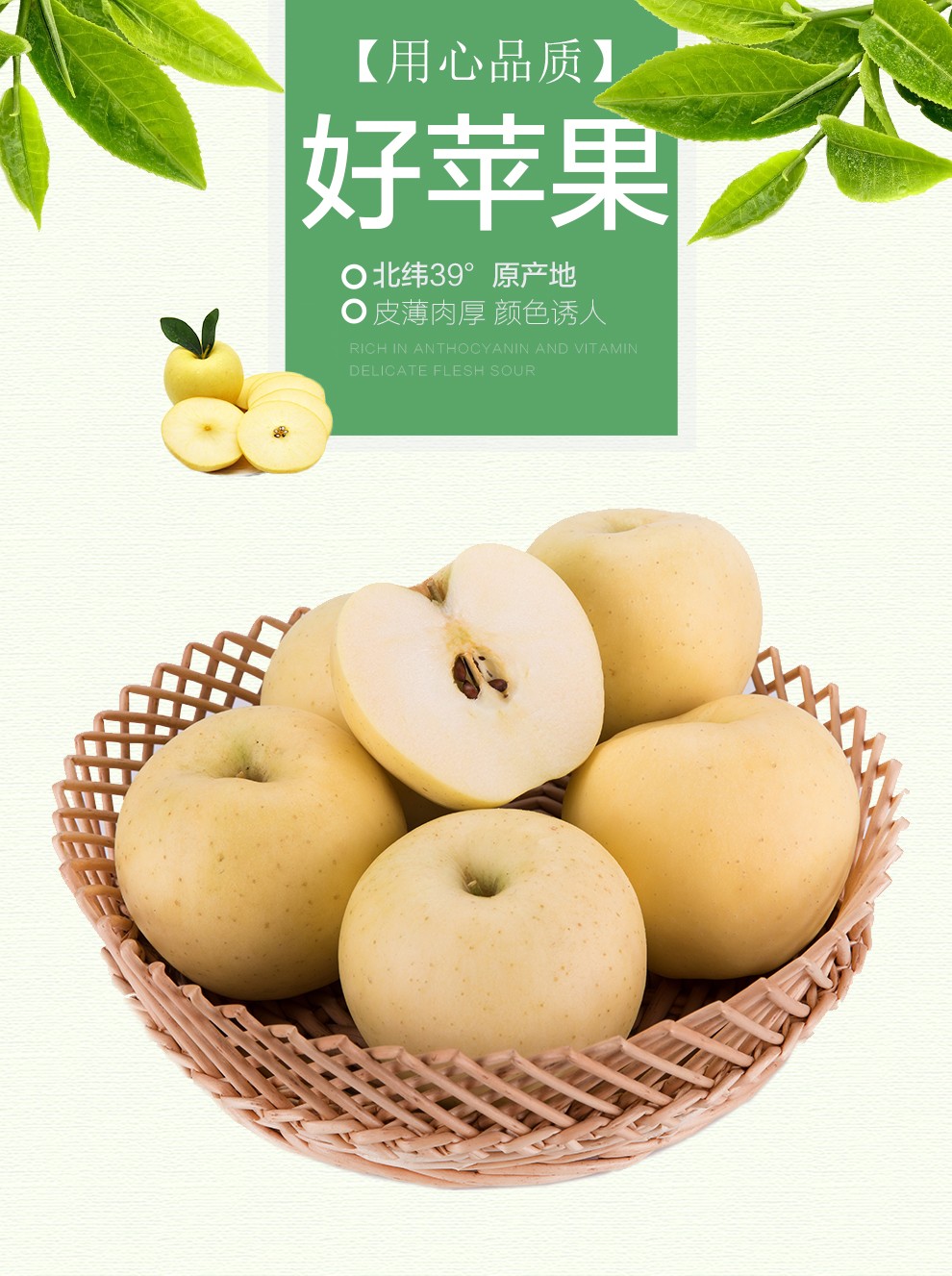 萃俪黄元帅苹果水果新鲜黄金帅奶油苹果刮泥粉面5斤装大果