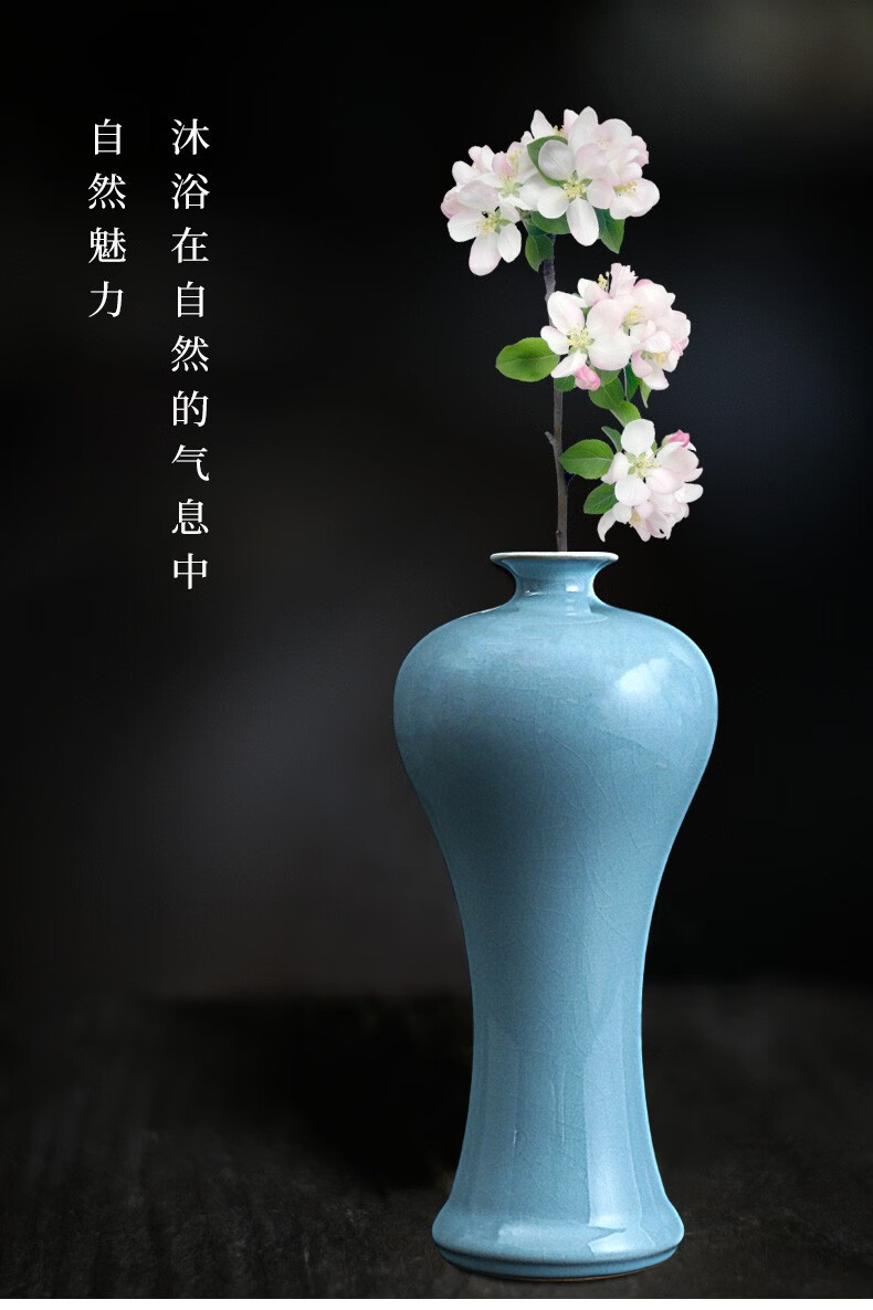 廷怀tinghuai廷怀窑汝窑天青釉梅瓶花瓶摆件高档礼盒装汝州汝瓷花瓶花