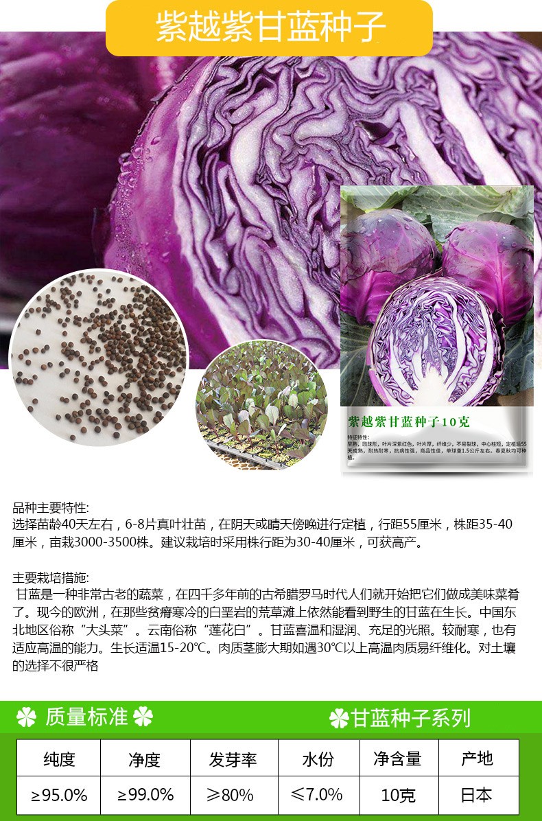 凤鸣雅世 蔬菜种子甘蓝种子卷心菜种子包心菜包菜种籽大头菜籽早熟