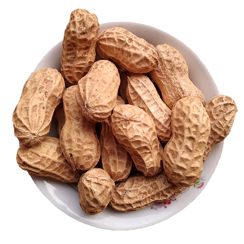 青樱红荔维桑干花生生花生农家自种带壳干花生剥壳花生可选手工剥壳