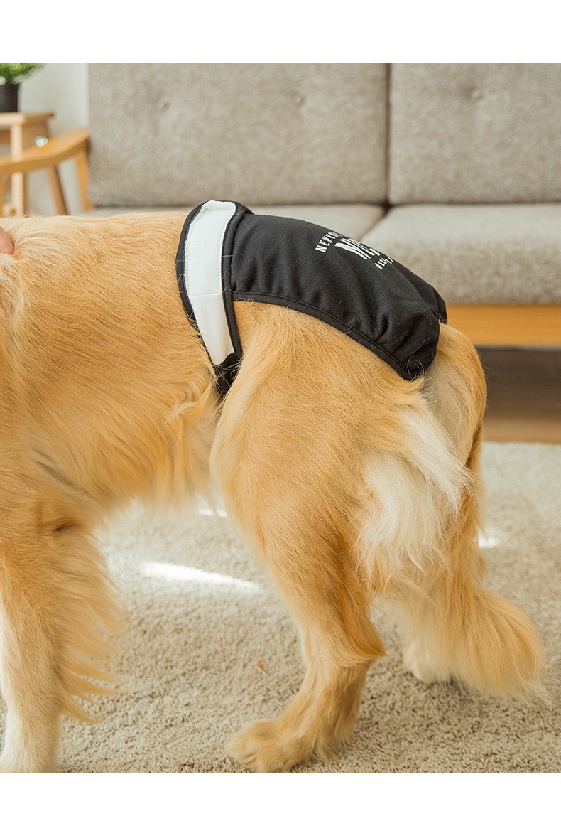 故事 大狗狗生理裤 大小型犬生理裤防骚扰狗狗姨妈裤金毛拉布拉多母狗