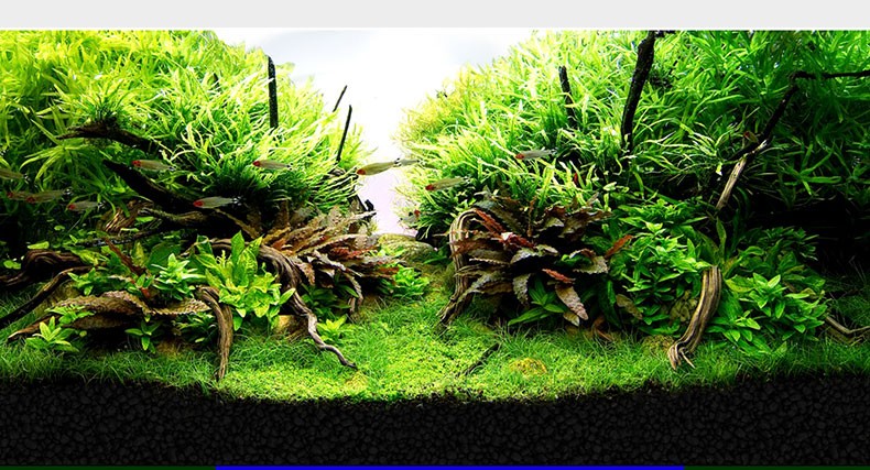 鱼缸造景水草泥水族箱造景泥水草种植土种植泥造景玩家宝贝水草泥