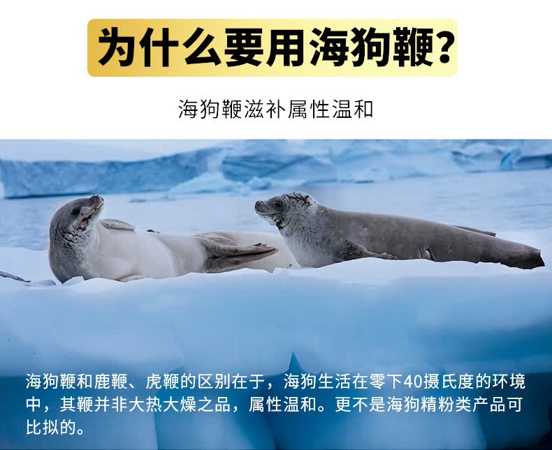 四世同堂牌海狗鞭特补胶囊抗疲劳延缓衰老小盒24粒装