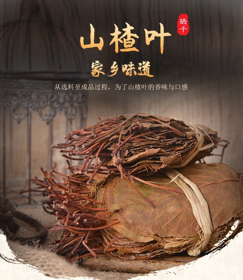 广东特产野生山楂叶粤北连州山楂叶茶新鲜野生山楂树叶山楂叶500g