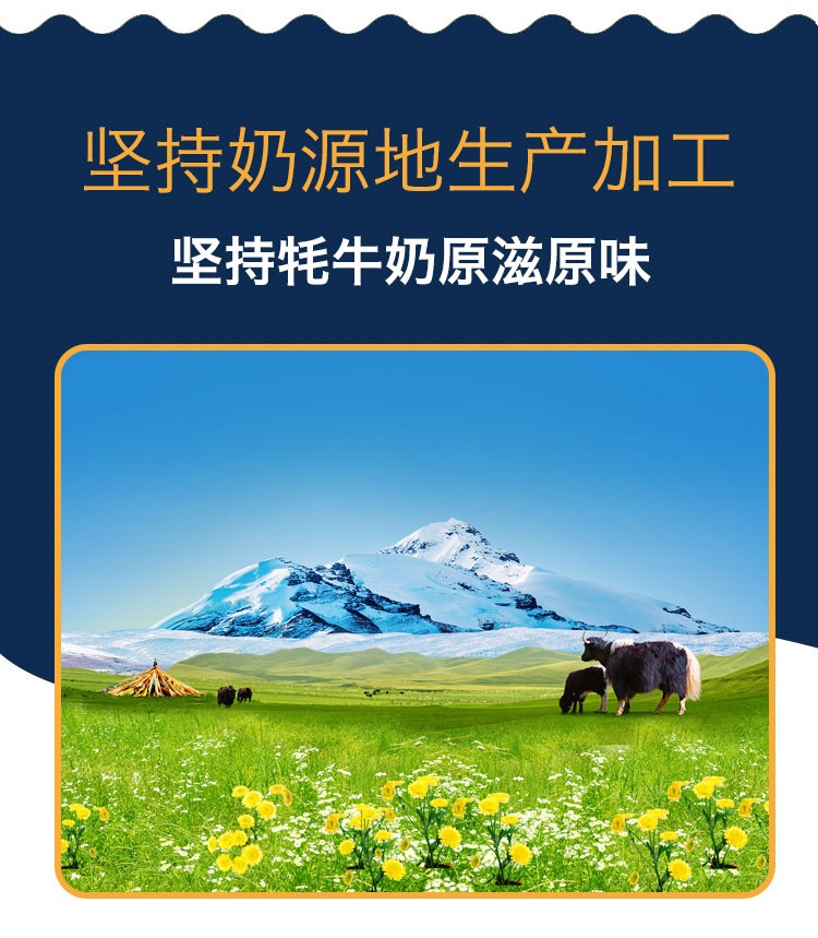 高原之宝西藏牦牛有机纯牛奶 源自青藏高原有机奶 早餐奶 彩条版250ml