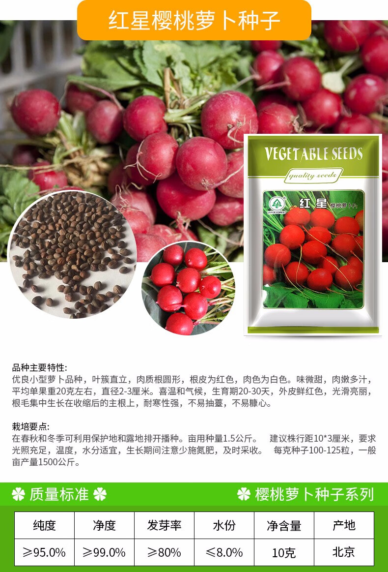 凤鸣雅世 樱桃萝卜种子小红水果春季秋四季播蔬菜种孑 阳盆栽蔬菜种籽