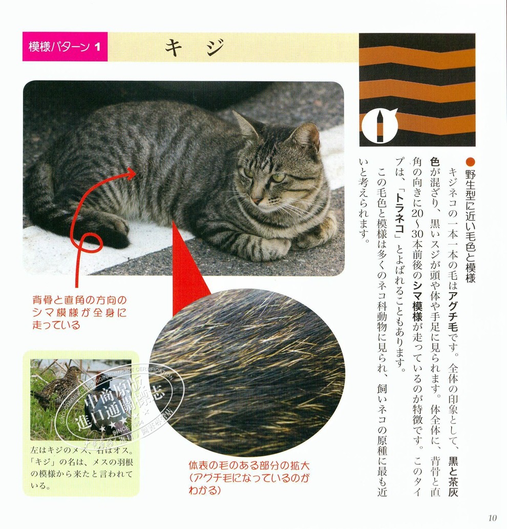萌猫模样图鉴日文原版ネコもよう図鑑色や柄がちがうのはニャンで浅羽宏 虎窝购