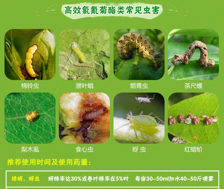 果树杀虫剂葡萄树梨树桃树李子树枣树石榴树橘子树专用杀虫剂农药0克 2瓶 图片价格品牌报价 京东 果树杀虫剂葡萄树梨树桃树李子树枣树石榴树橘子树专用杀虫剂农药0克 2瓶 图片价格品牌报价 京东