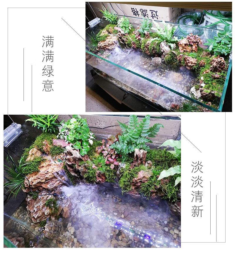 宝贝故事超白玻璃乌龟缸免换水养龟专用缸水陆缸龟池带晒台真石假山