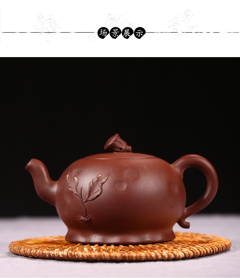 徐保国紫砂壶宜兴纯全手工原矿紫砂功夫泡茶壶茶具莲蓬壶紫泥