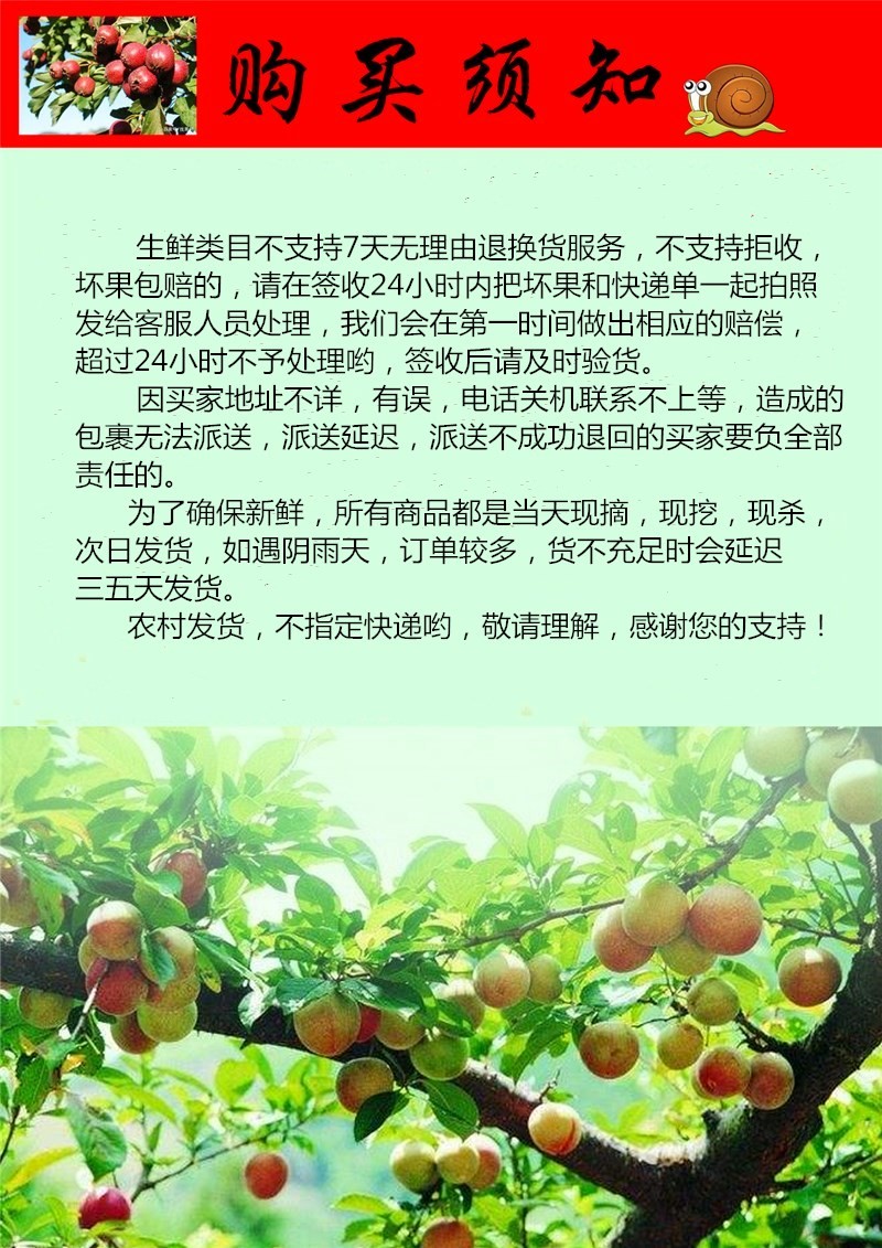 大道公 榛蘑 东北野生榛蘑 东北蘑菇干货 小鸡炖蘑菇丁香菇类蘑菇