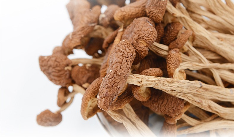 徽珍茶树菇150g黄山特产山珍特产干香菇南北干货