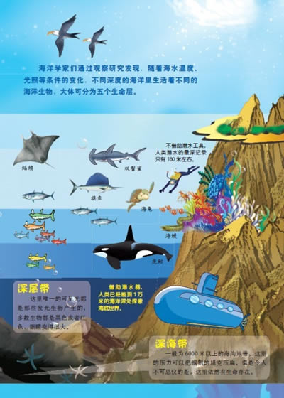绚丽的海底世界——将海洋分层完美的呈现,介绍海洋不同分层下不同