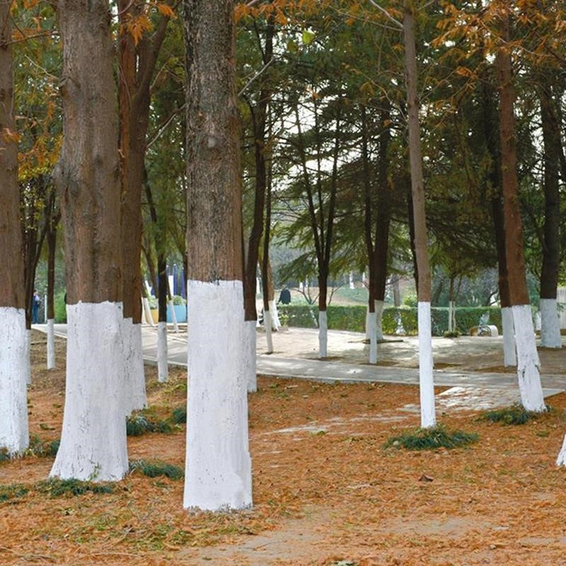 沃绣 树木涂白剂绿化美白剂树干涂白干粉果树涂白刷树粉防冻抗寒防虫