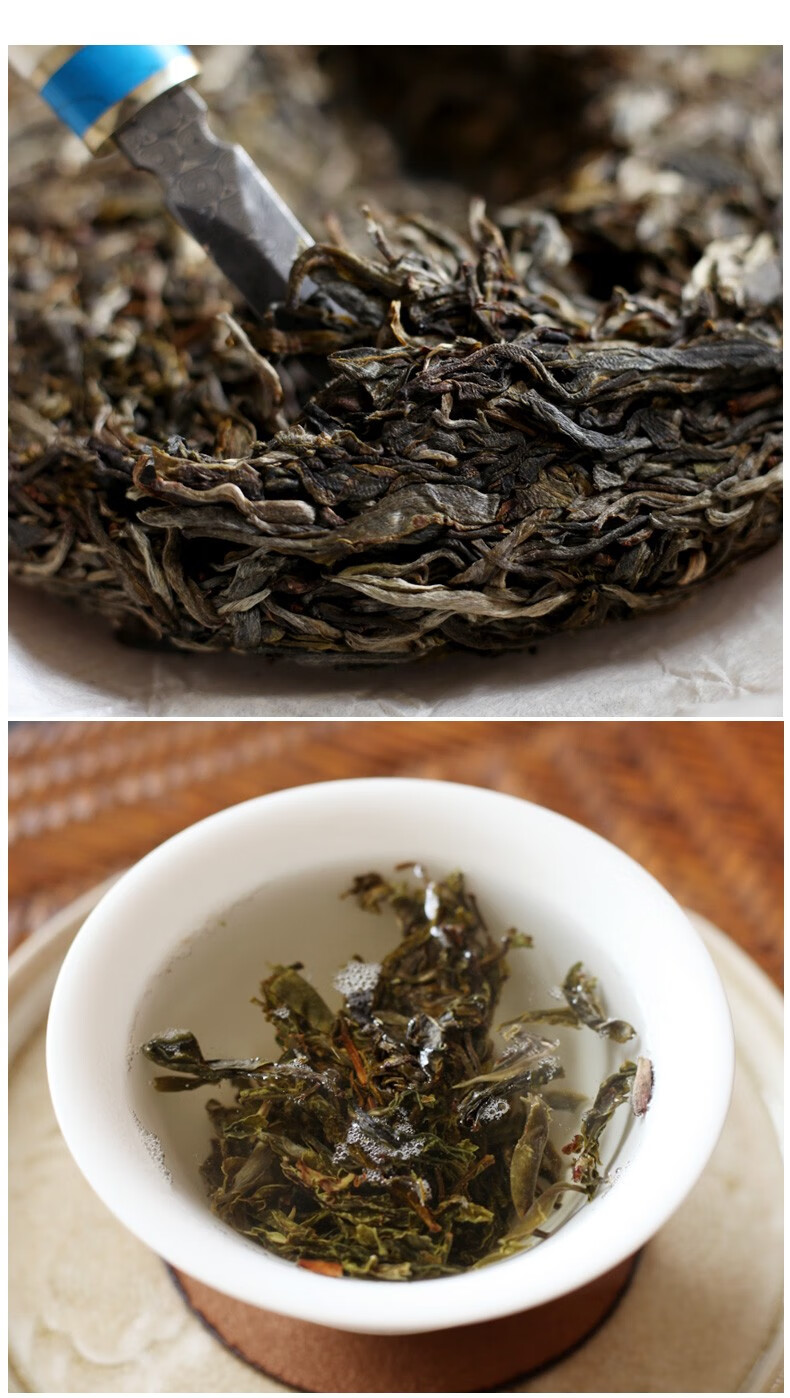 荣瑞祥普洱茶生茶饼2019头春荒野古树云南七子饼茶临沧古树普洱生茶饼
