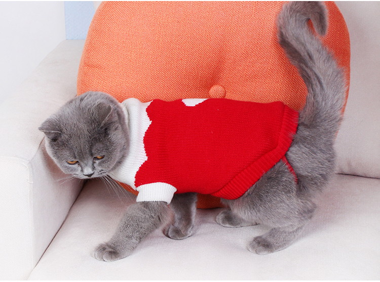 憨憨宠 宠物猫衣服秋冬款猫咪衣服毛衣蓝猫幼猫英短衣服 大红草莓款