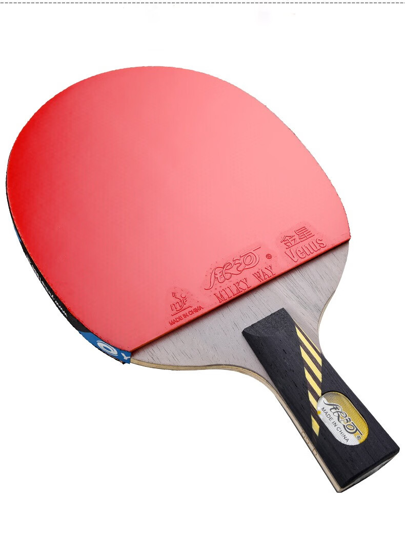 银河乒乓球拍09星10星桧木碳素乒乓球成品拍双面反胶10b单拍09桧木面
