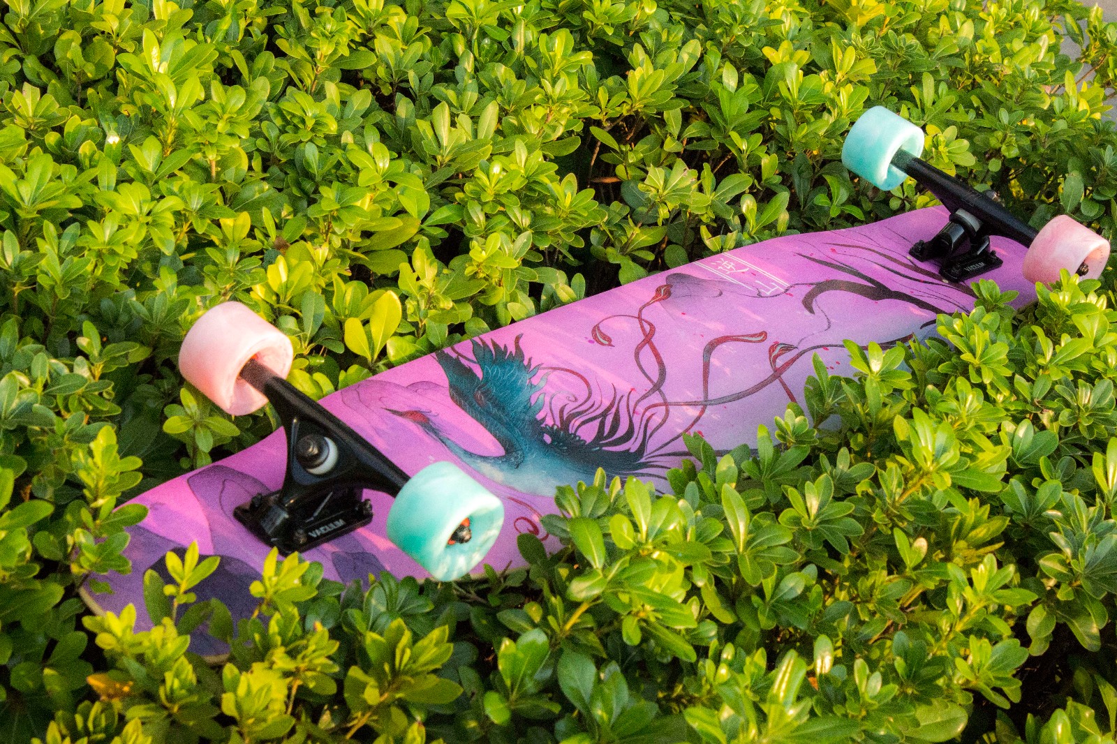 逆山专业长板滑板白狐男女生公路刷街dancing舞板抖音初学者四轮滑板