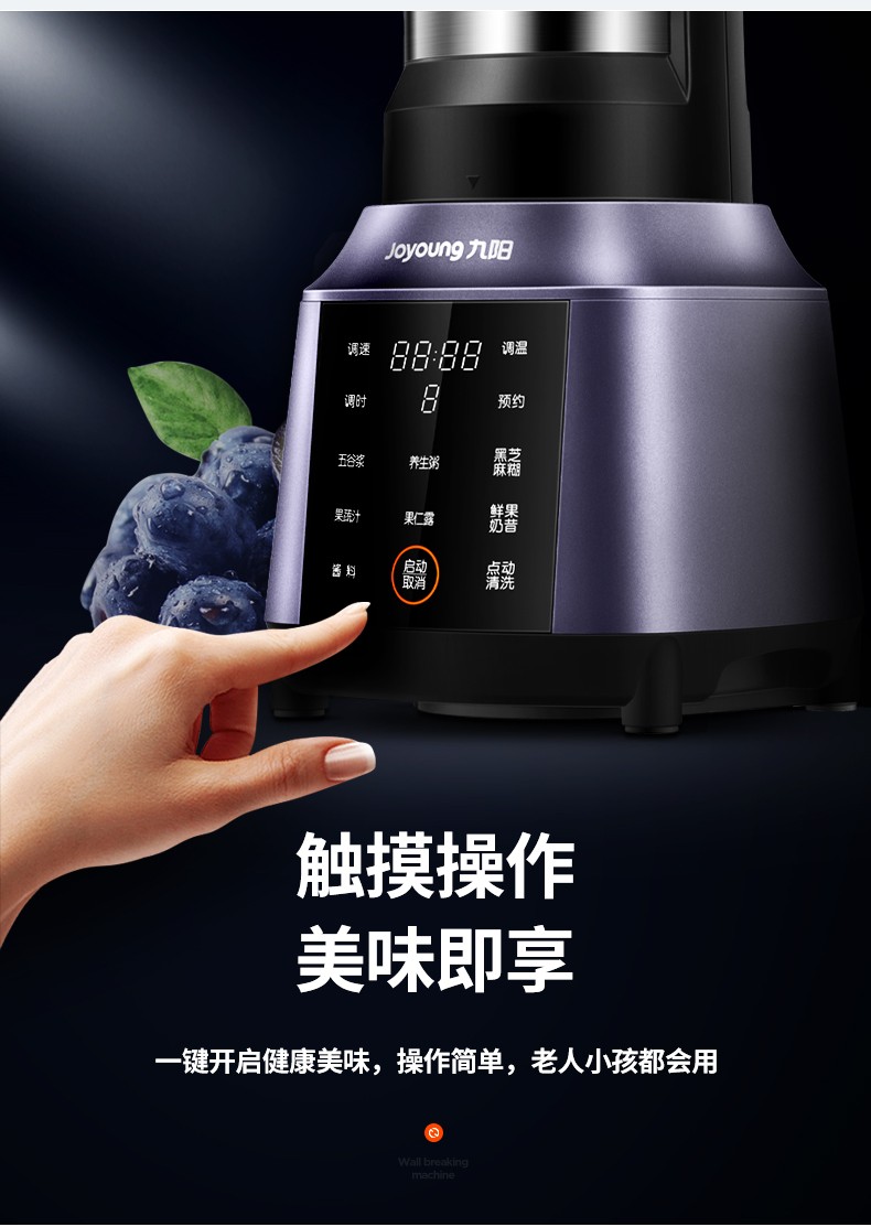 九阳 L13-Y91s 破壁机 图9