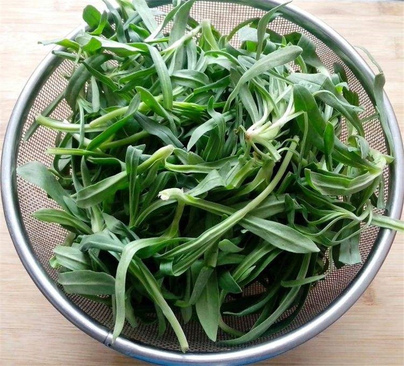 轻恋面条菜 新鲜野菜 柳叶菜 3斤 面条棵 农家野生现挖蔬菜 son【图片
