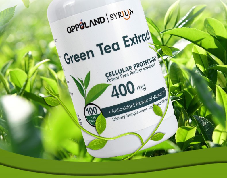 美国进口oppuland绿茶素绿茶提取绿茶精华绿茶精华茶多酚儿茶素胶囊片