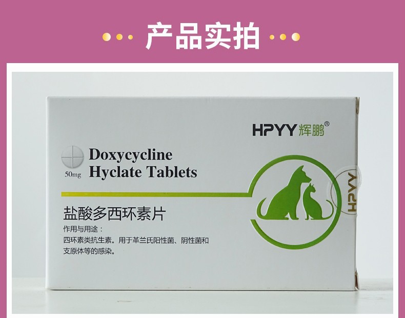 辉鹏呼炎宁盐酸多西环素片宠物猫鼻支肺炎狗狗尿路感染猫咪抗生素药品