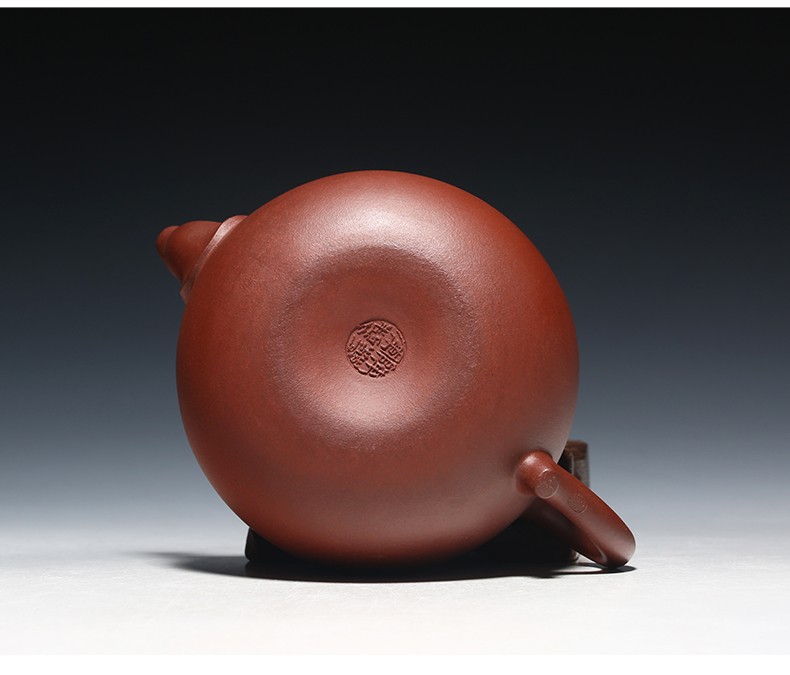 徐保国紫砂壶宜兴茶具名家纯全手工功夫小泡茶壶金鱼壶枣红泥