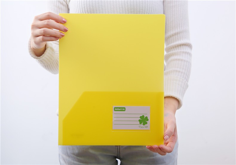 天顺双插袋文件夹两边插袋报告夹a4双面磨砂文件袋文件套二页插页袋