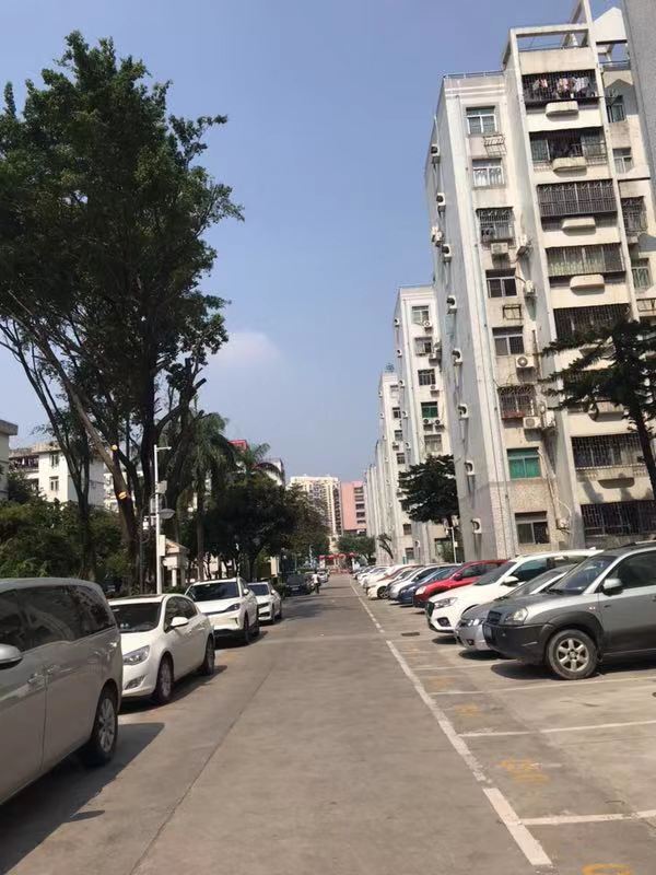 第一次拍卖深圳市福田区沙咀路金地花园210栋603号房产