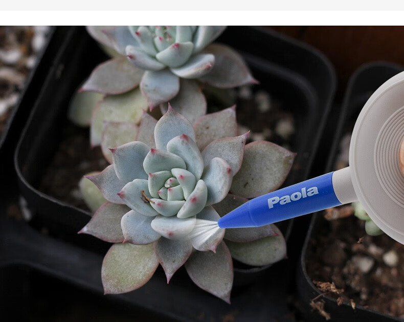 保拉(paola) 吹尘刷 吹尘球 电脑手机屏幕键盘多肉植物清洁工具5901