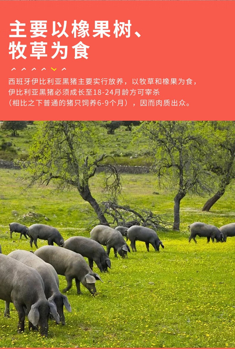 西班牙原切橡果黑猪梅花肉350g伊比利亚黑猪颈肉西餐烧烤食材