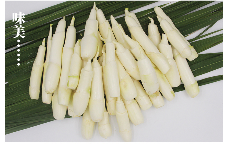 真京新鲜茭白现摘农家新鲜蔬菜茭白菰时令茭儿菜高笋3斤