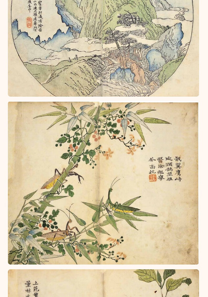 康熙芥子园画传彩色原大版国画临摹画册芥子园画谱山水林木兰竹梅菊
