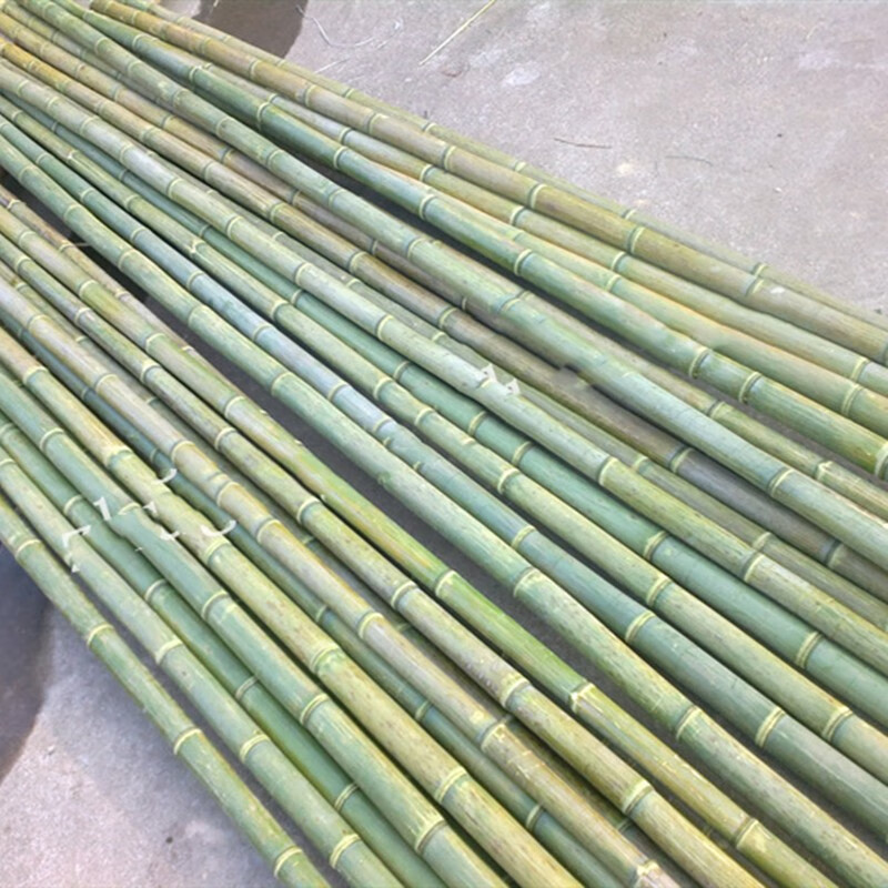 竹竿菜园搭杆架种菜花架黄瓜豆角攀藤蔬菜篱笆1米直径1厘米10根