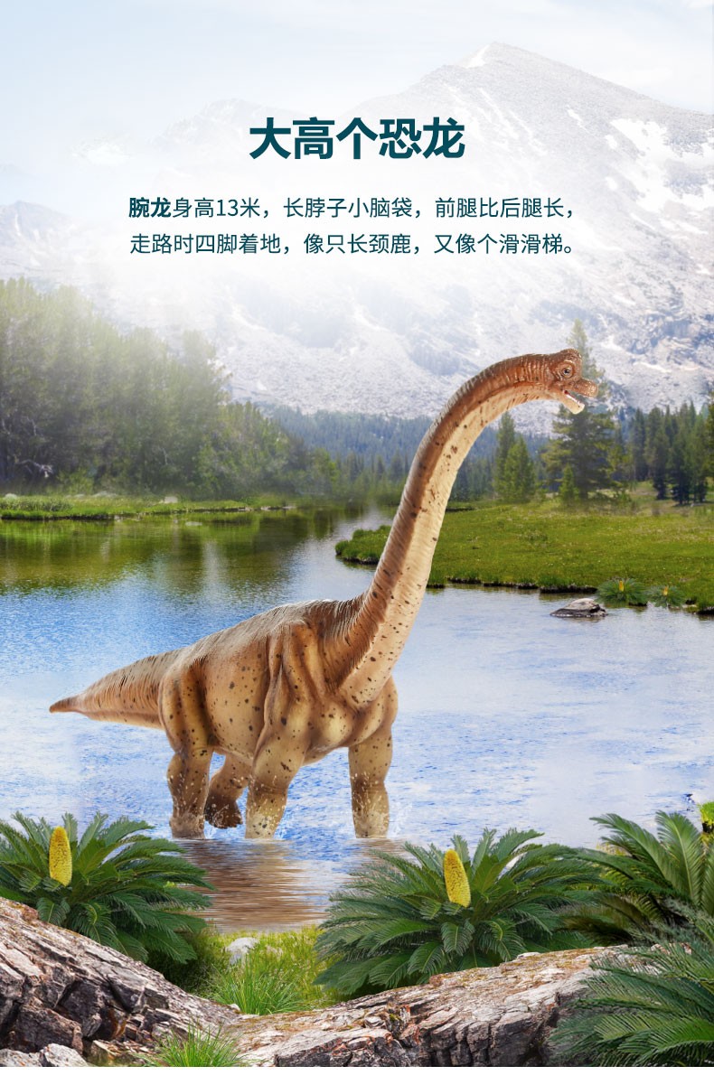 龙饭团恐龙玩具大型仿真腕龙模型儿童动物玩偶侏罗纪涂绘拼装