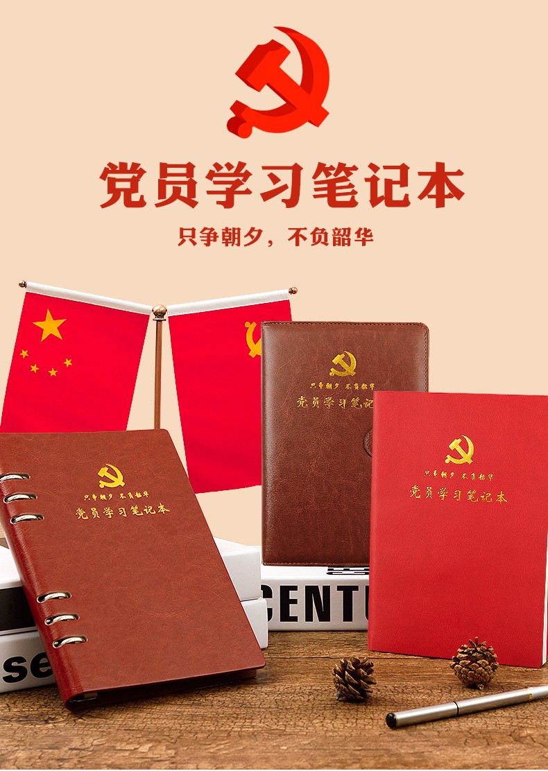 党建引领石棉县前行之路