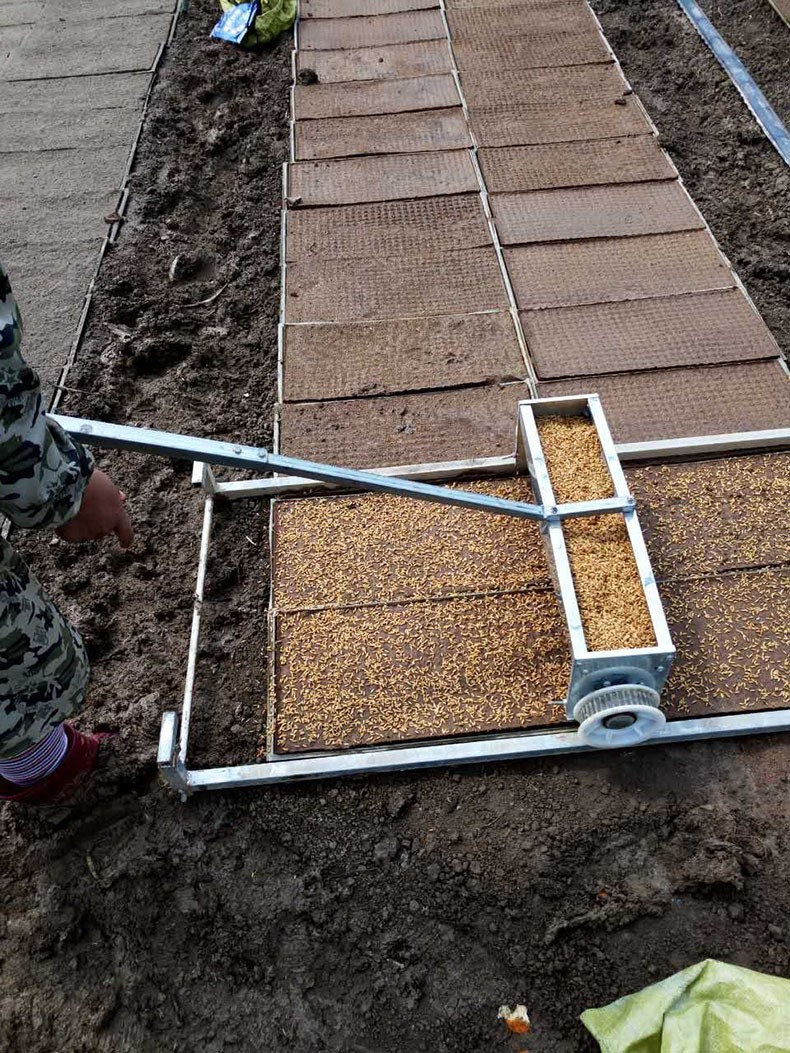 水稻播种机插秧机育秧器覆土秧田器蔬菜育苗机水田育秧机秧盘大棚